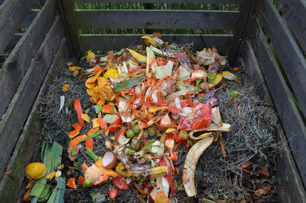 
Photo de compost 