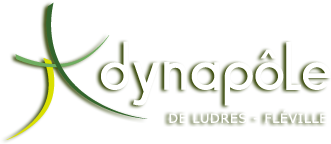 Logo Dynapôle