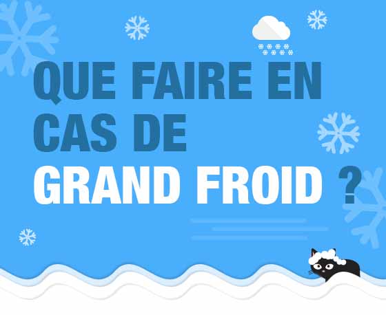 Que faire en cas de grand froid